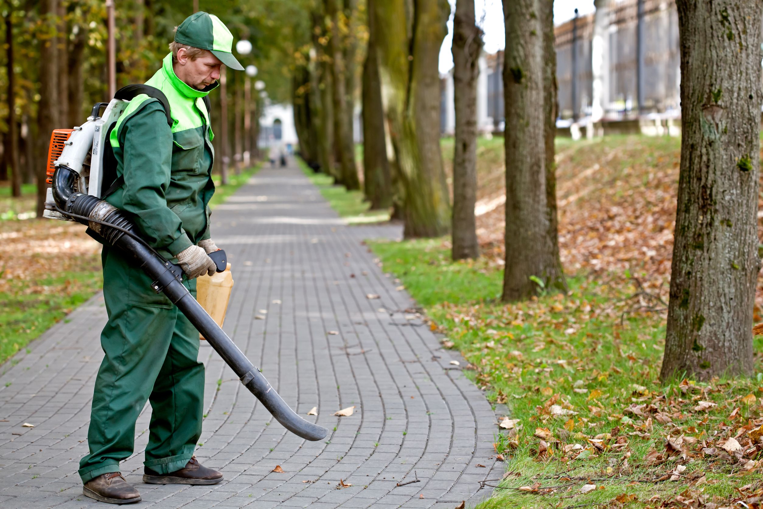 Reasons Why You Should Hire an Arborist for Your Home