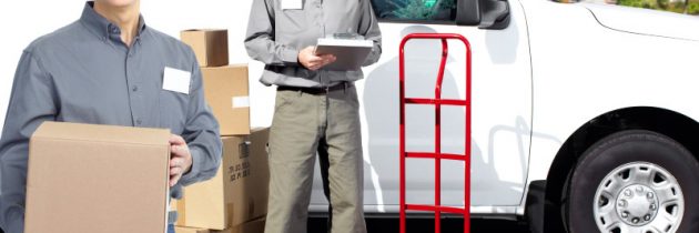 Services Offered by Movers to Individuals in Glendale, Arizona