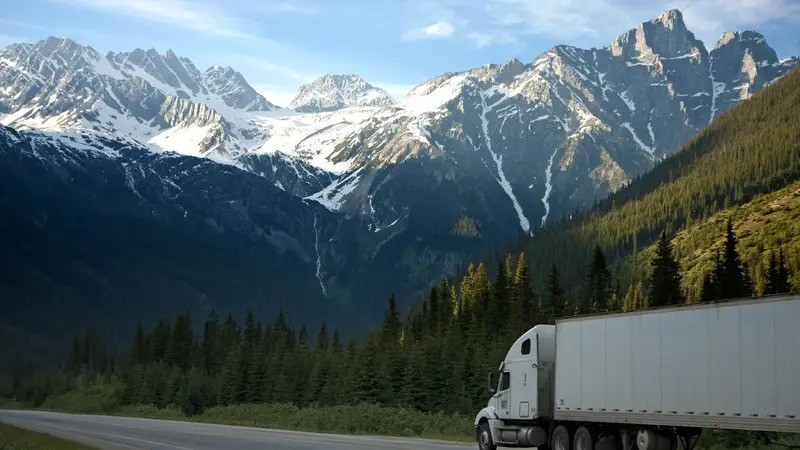 Find LTL Freight Carriers That You Can Rely On