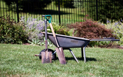 The Importance of Lawn Fertilizing in Clarksville, IN