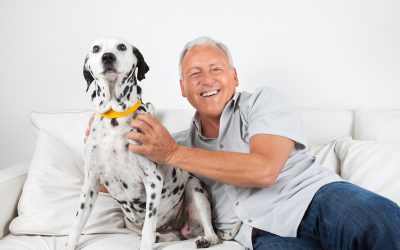 A Guide to Providing Your Pets with the Best Health Possible: Pet Care in Myrtle Beach, SC