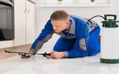 Discover the Best Local Exterminators in Newnan GA for Pest-Free Living