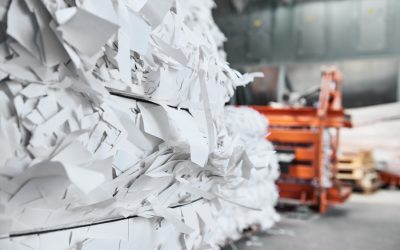 Protecting Your Privacy: Secure Paper Shredding Services in Indianapolis, IN